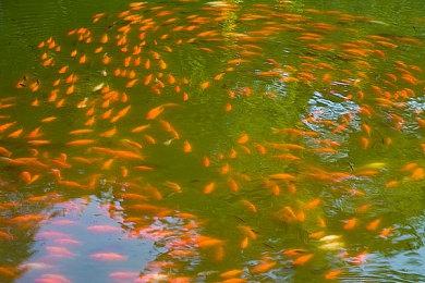 SE生化模拟RPG《HARVESTELLA》实机预告第二弹